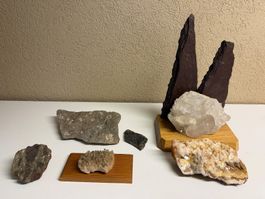 Kristallsteine und Fossilien