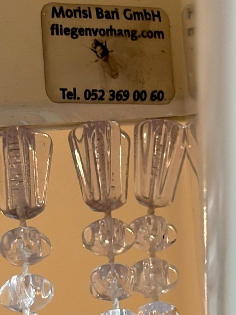 Tende: Fliegenvorhang Morisi Bari – Usato da Wil SG venduto da PUMA039 3