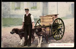 AK Luzern, Milchmann mit Hundegespann
