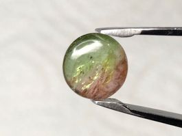 Wassermelonen Turmalin Cabochon pink-grün 2.5 Karat bicolor