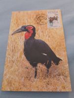 Carte postale rare - Oiseau et timbre de Venda, 1989!