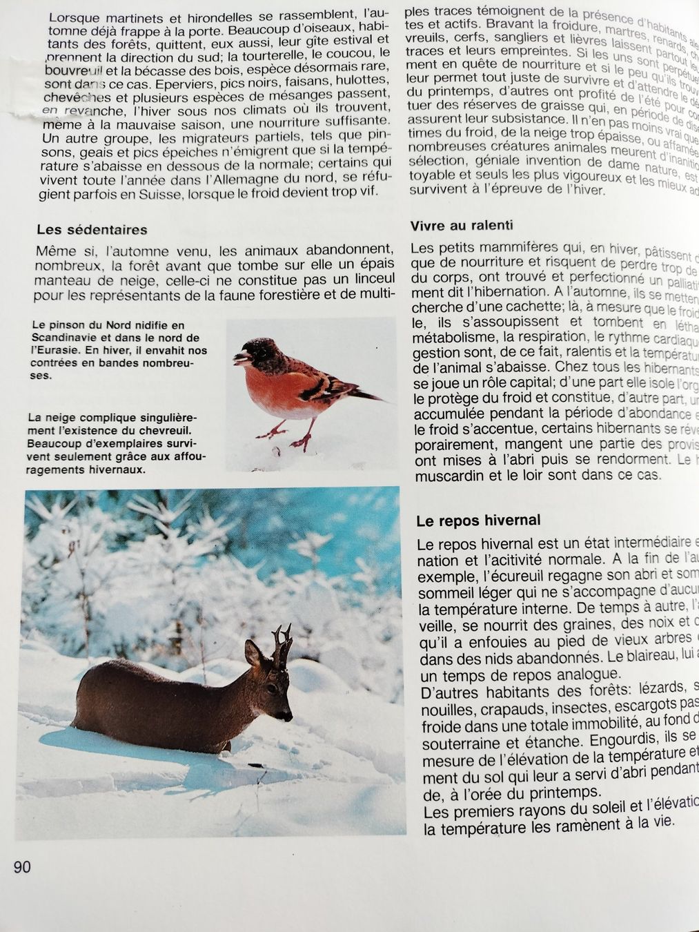 Libri: LA FORÊT Découvrez la forêt avec Silva – Usato da Cortaillod venduto da rozinna 8