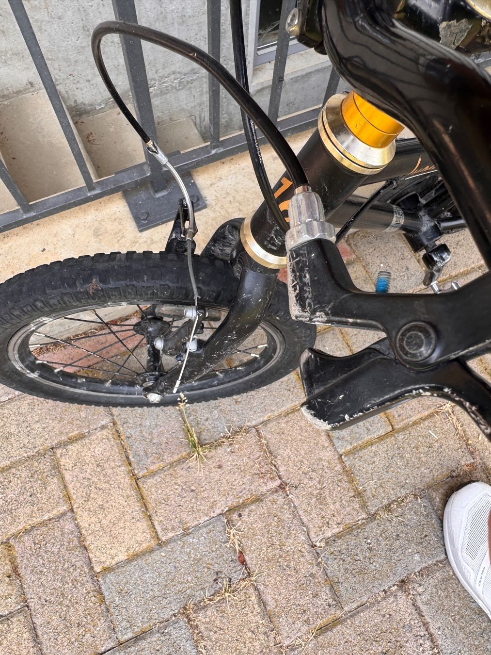 Biciclette: Kinderbike 16Zoll Rider – Usato da zürich venduto da oives22 4