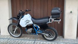 Suzuki Dr 600 s