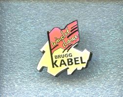 BRUGG KABEL