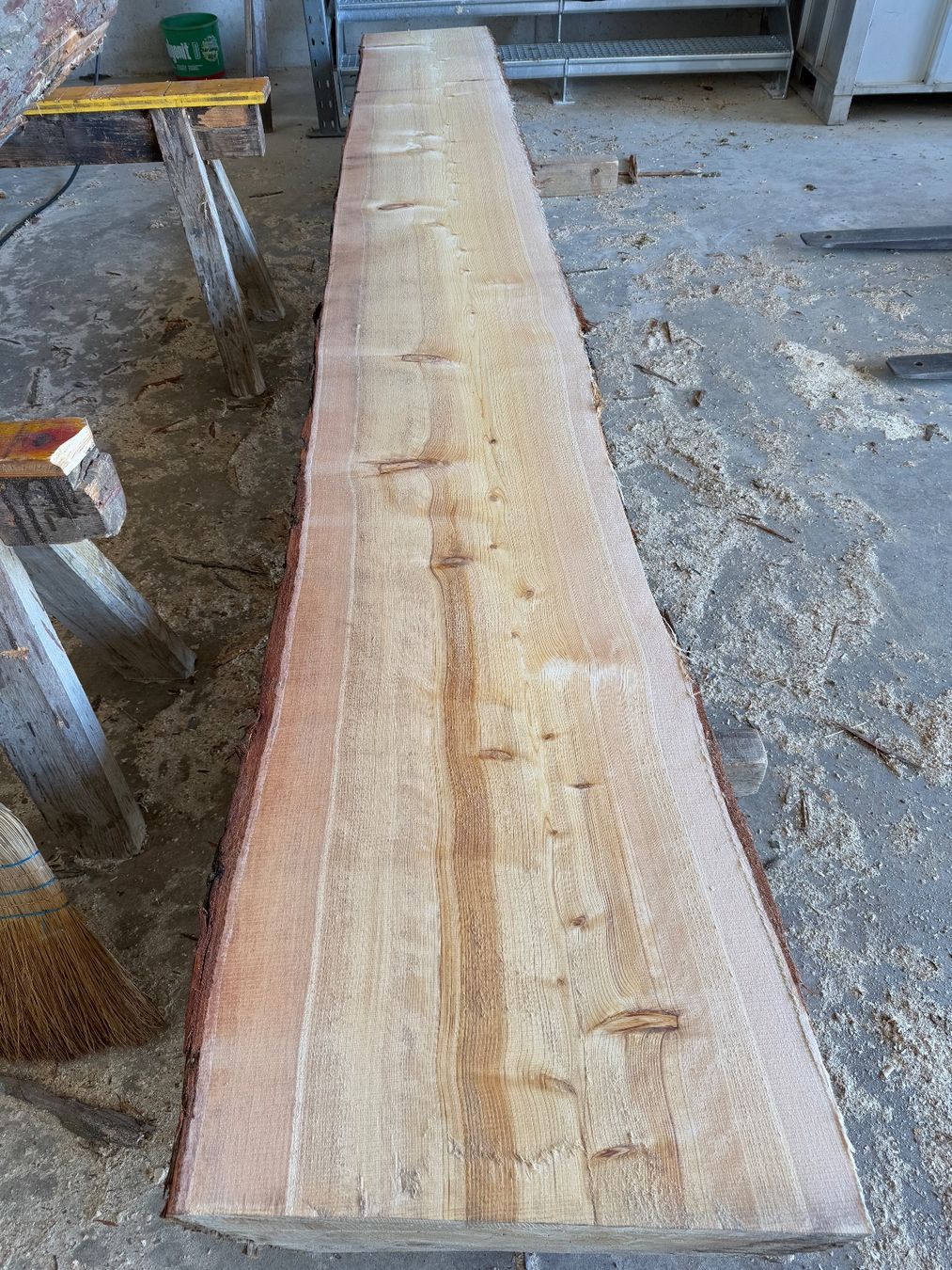 Articoli in legno: Thuja Bretter ganzer Stamm – Usato da Holziken venduto da Timbergrizzly
