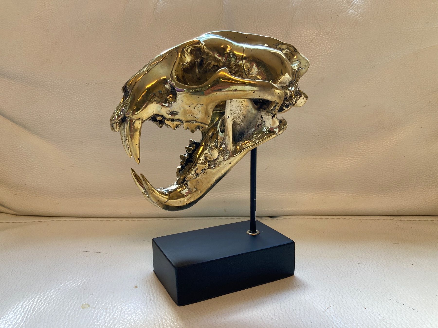 Il mondo degli animali: Leopardschädel polierte Bronze – Usato da Gossau SG venduto da Waceera 1