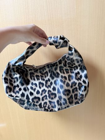 Leo Tasche