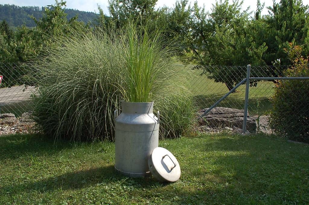 Tutte le decorazioni: Milchkanne Deko Garten Eingang Terrasse, etc. – Usato da Schupfart venduto da Bluelightning