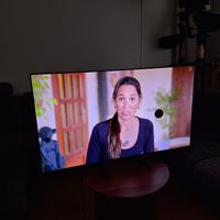 Samsung Fernseher 55 Zoll OLED QE55S90CAT BILDFEHLER