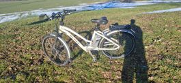 E bike Flyer 45Kmh