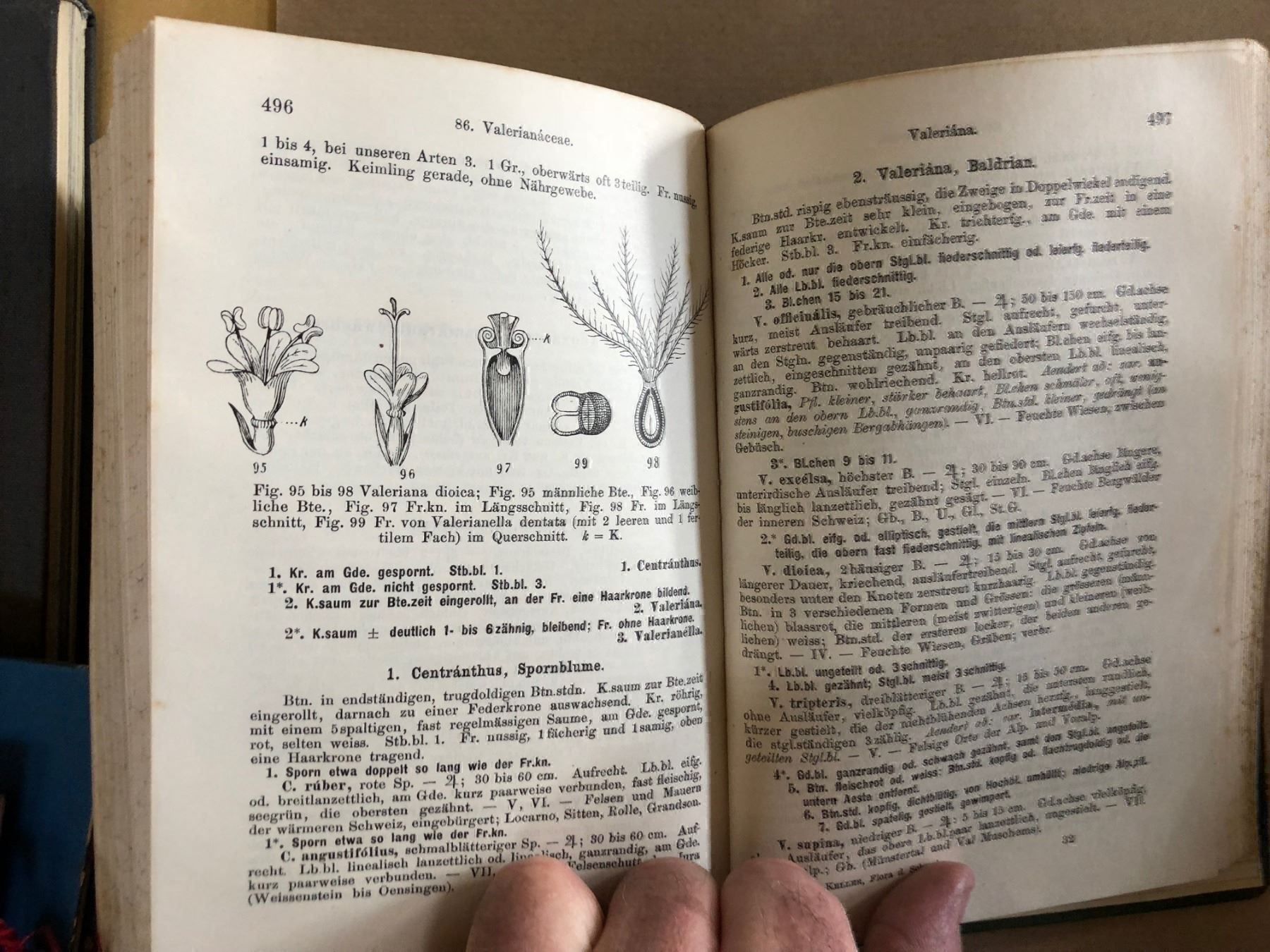 Bücher: H. Schinz/R. Keller: Flora der Schweiz – Gebraucht aus Zürich von allp 9