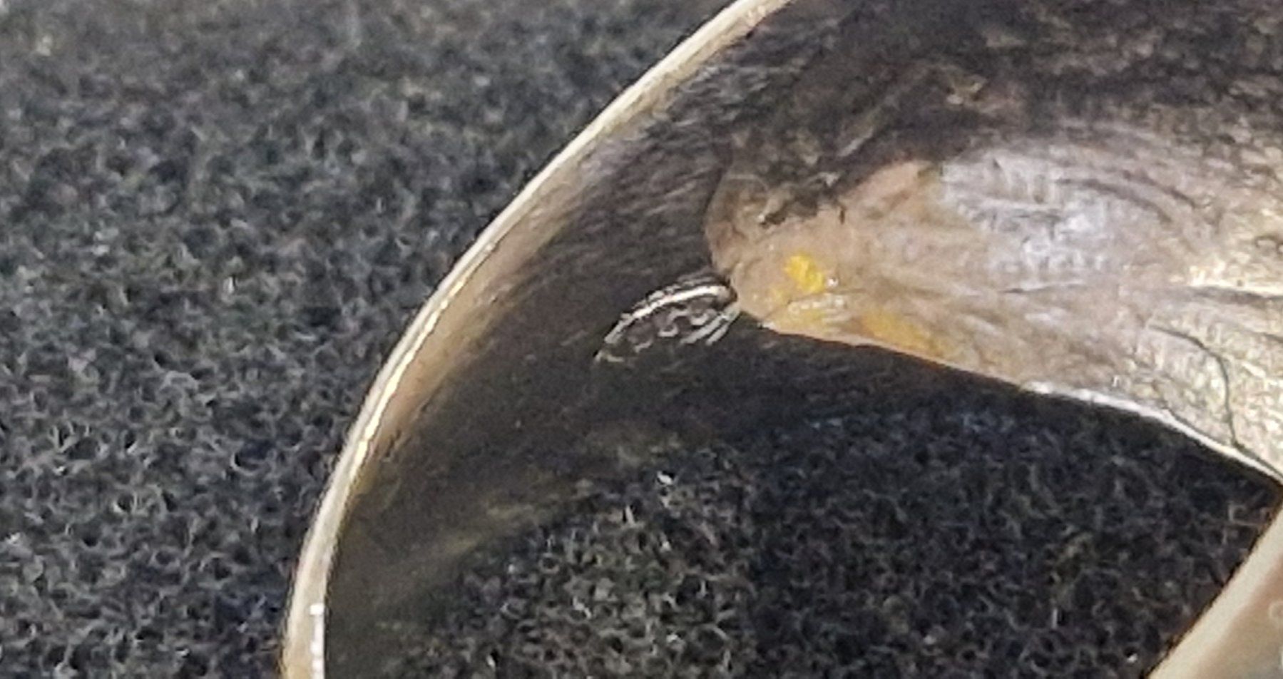 Anelli: 925 SILBER RING HERZ VORM – Usato da Bilten venduto da Mic2022 4