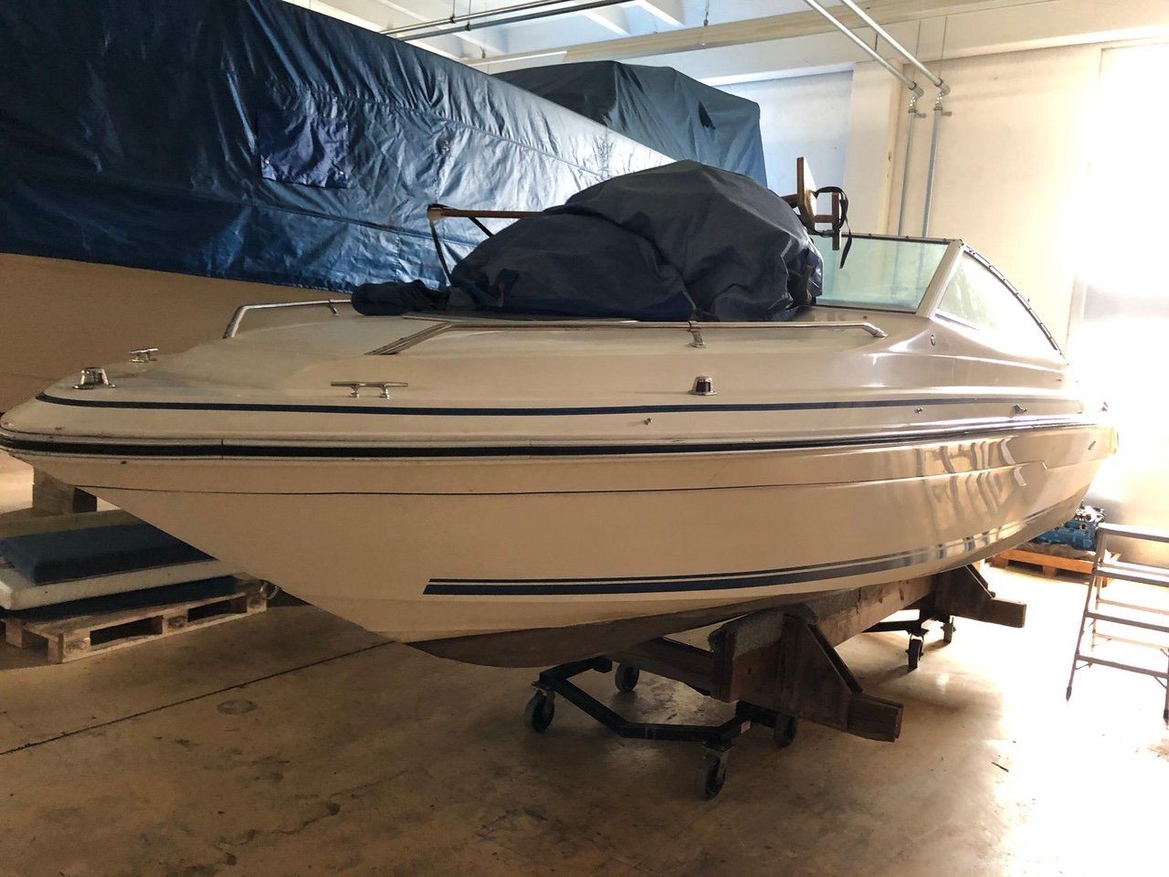 Sea Ray Barche: SEA RAY 200 CC SPORT – Usato da Avenches venduto da BOOTTRANSPORTE 3