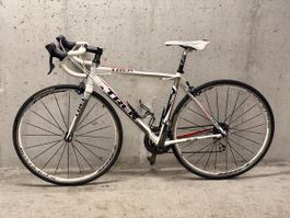 Trek Rennrad Carbon