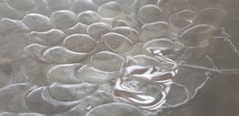 Gewölbte Glasschale mit Traubenmotiv