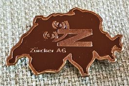 K071 - Pin Z Zürcher AG