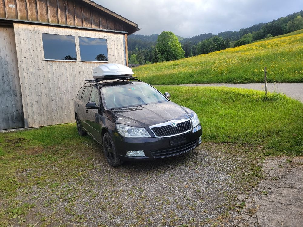 Skoda Octavia 4x4 Probleme