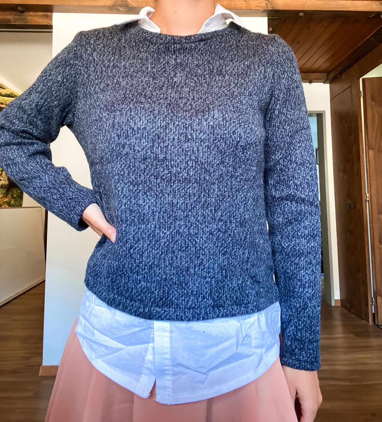 Pulls & Sweat-shirts: Pullover mit Bluse – D'occasion à Ringgenberg BE par kat_n5w8