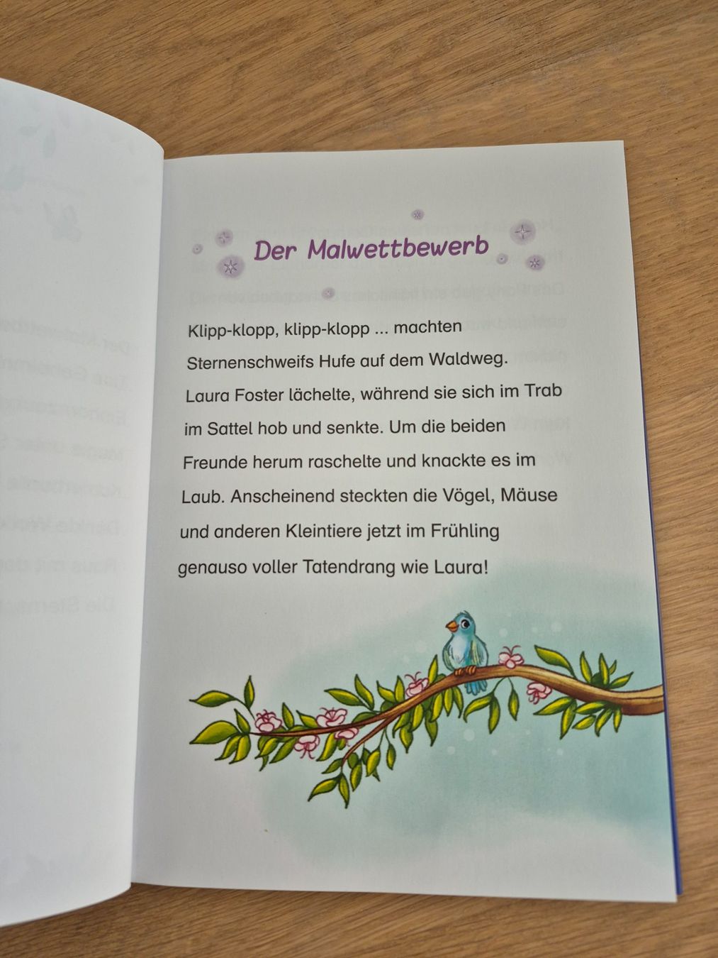 Libri: Lesebuch Sternenschweif, das verzauberte Bild – Usato da Bremgarten AG venduto da mar_6vkb 2