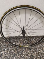 MAVIC COSMOS (NEU)622×15 Hinderrad ohne Kassette.