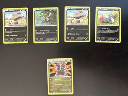 Pokémon Sammelkarten 