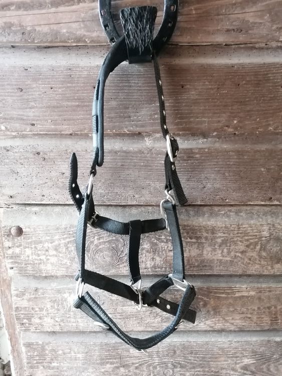 START Kappzaum Für Pferde - Verstellbares Longierhalfter Mit PVC-Verstärkung