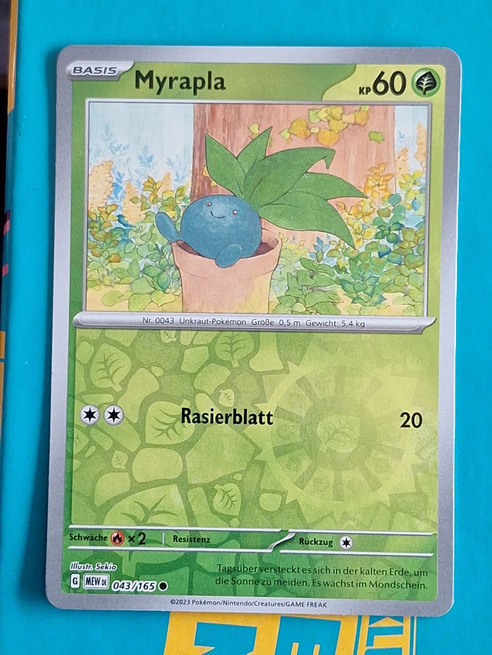 Pokémon Carte collezionabili: Myrapla - Mew 151 DEUTSCH - Reverse Holo Pokemon – Usato da Altstätten SG venduto da GGsGameshop