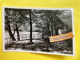 Schinznach-Bad.  Partie an der Aare