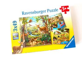 Puzzle 3x49er Ravensburger Wald Zoo Haustiere