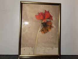 I Fiori degli Angeli von Bruno Bruni Original-Lithographie