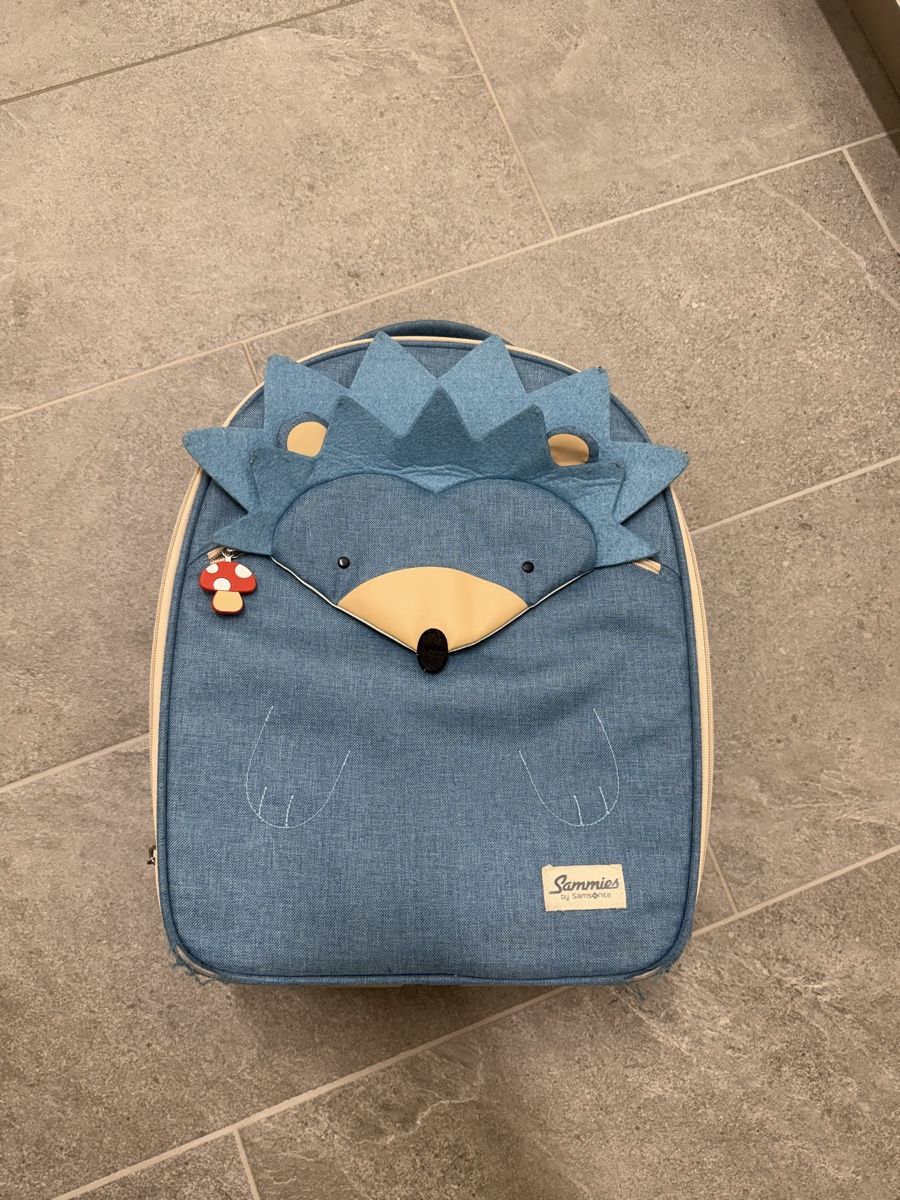 Samsonite Koffer & Taschen: Valigetta bambini Samsonite – Gebraucht aus Cureglia von Zucchi1