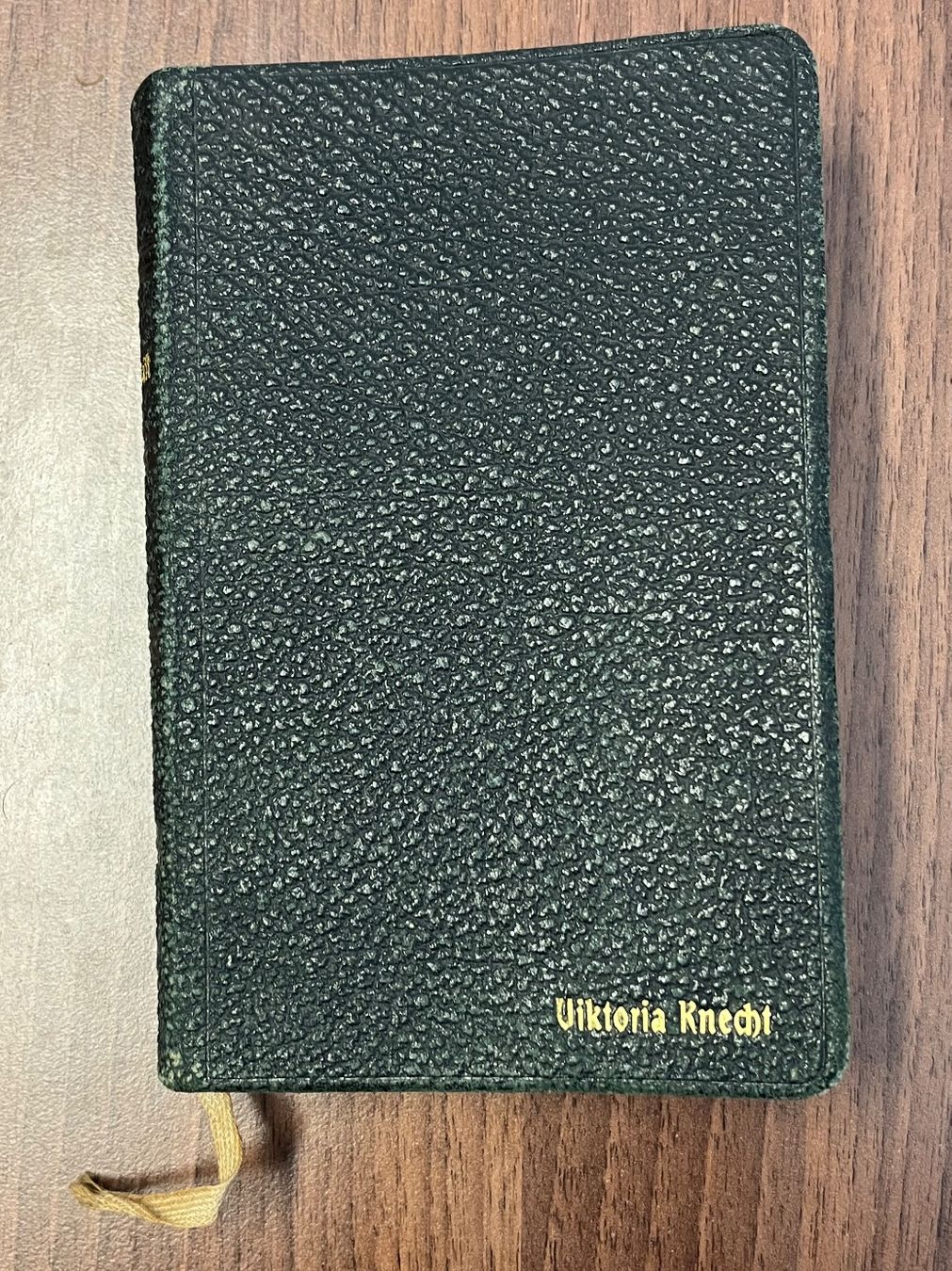 Libri: DIE BIBEL ODER HEILIGE SCHRIFT von Viktoria Knecht / 1916 – Usato da Islikon venduto da sav_m8xk