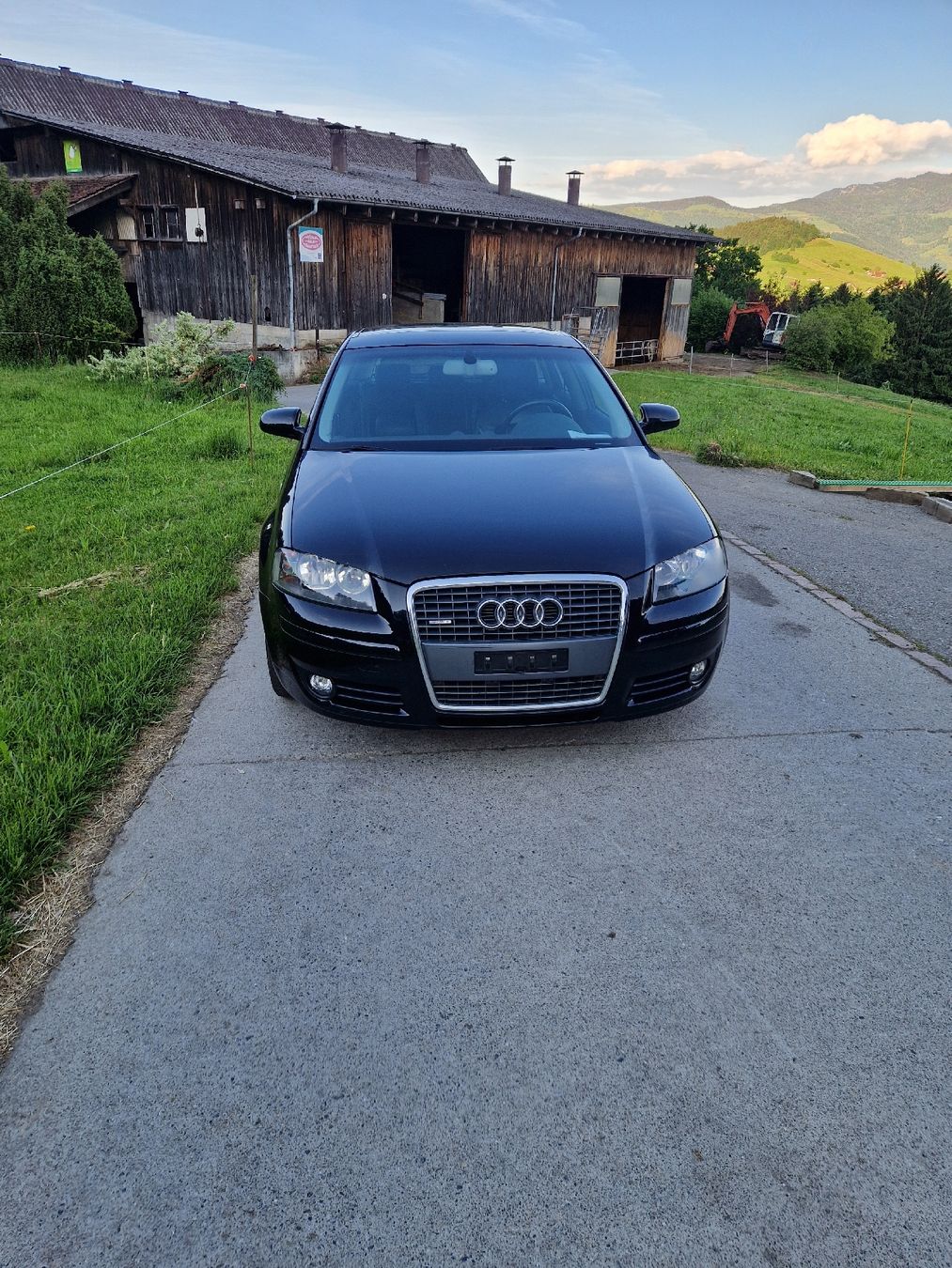 Audi Automobili: Audi a3 2.0 tdi Quattro – Usato da Meierskappel venduto da Masseyboy 1