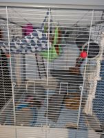 cage pour rats et furets