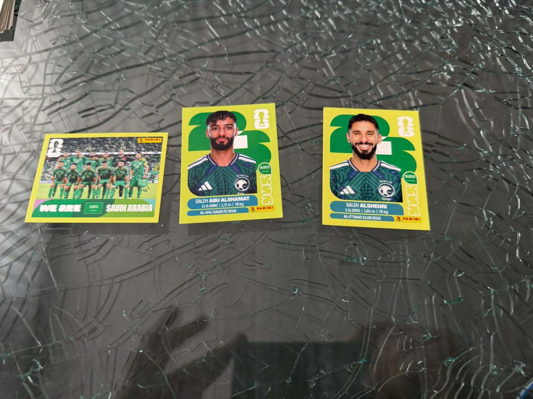 Panini Carte collezionabili: WM 2026 - Panini - Saudi Arabia – Usato da Pfäffikon ZH venduto da Marcodesi76