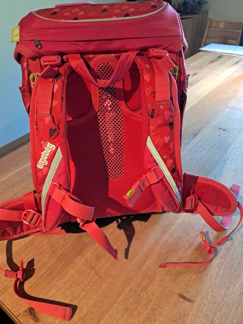 Kindertaschen: Ergobag Schulrucksack mit Turnbeutel und Kletties  – Gebraucht aus Signau von 87sue 2