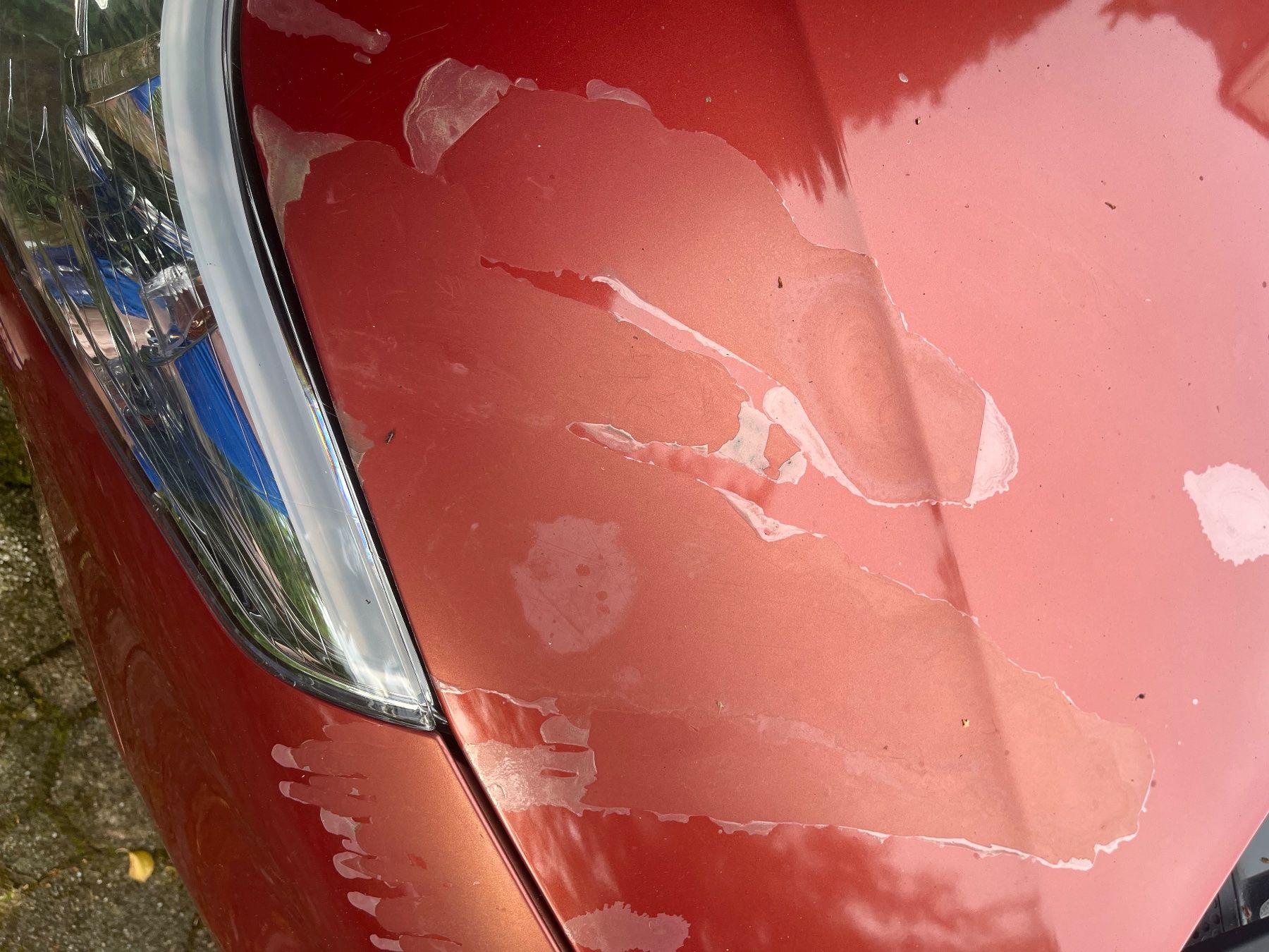 Citroën Automobili: Citroen C4 Modell Coupé. – Usato da Ebikon venduto da Carlocap 8
