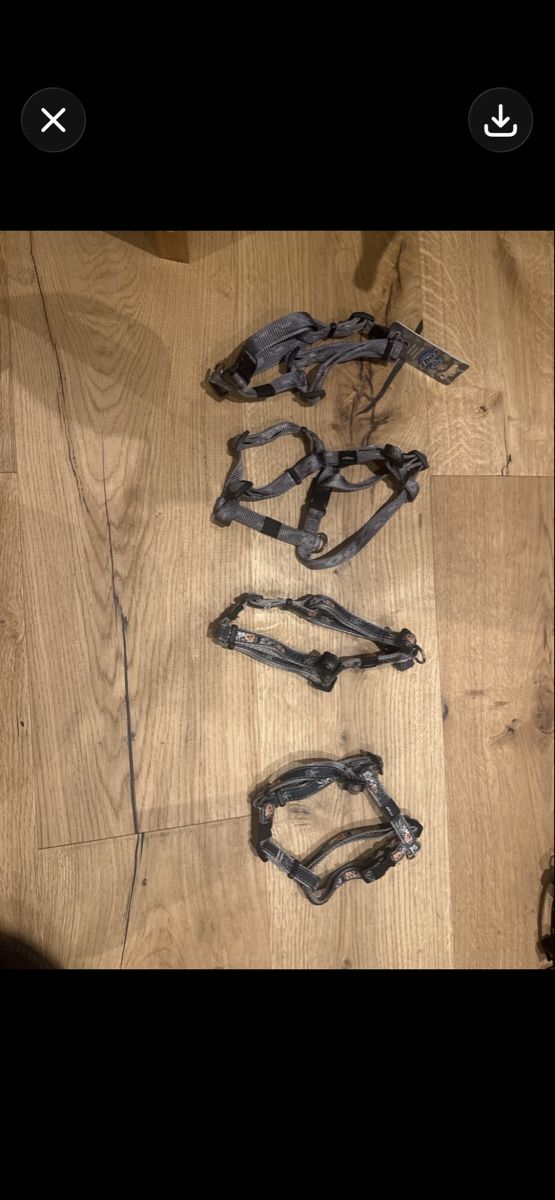 Leine & Halsband: 50 Stück neue Hundegeschierre – Neu (gemäss Beschreibung) aus Trübbach von alder.m 4