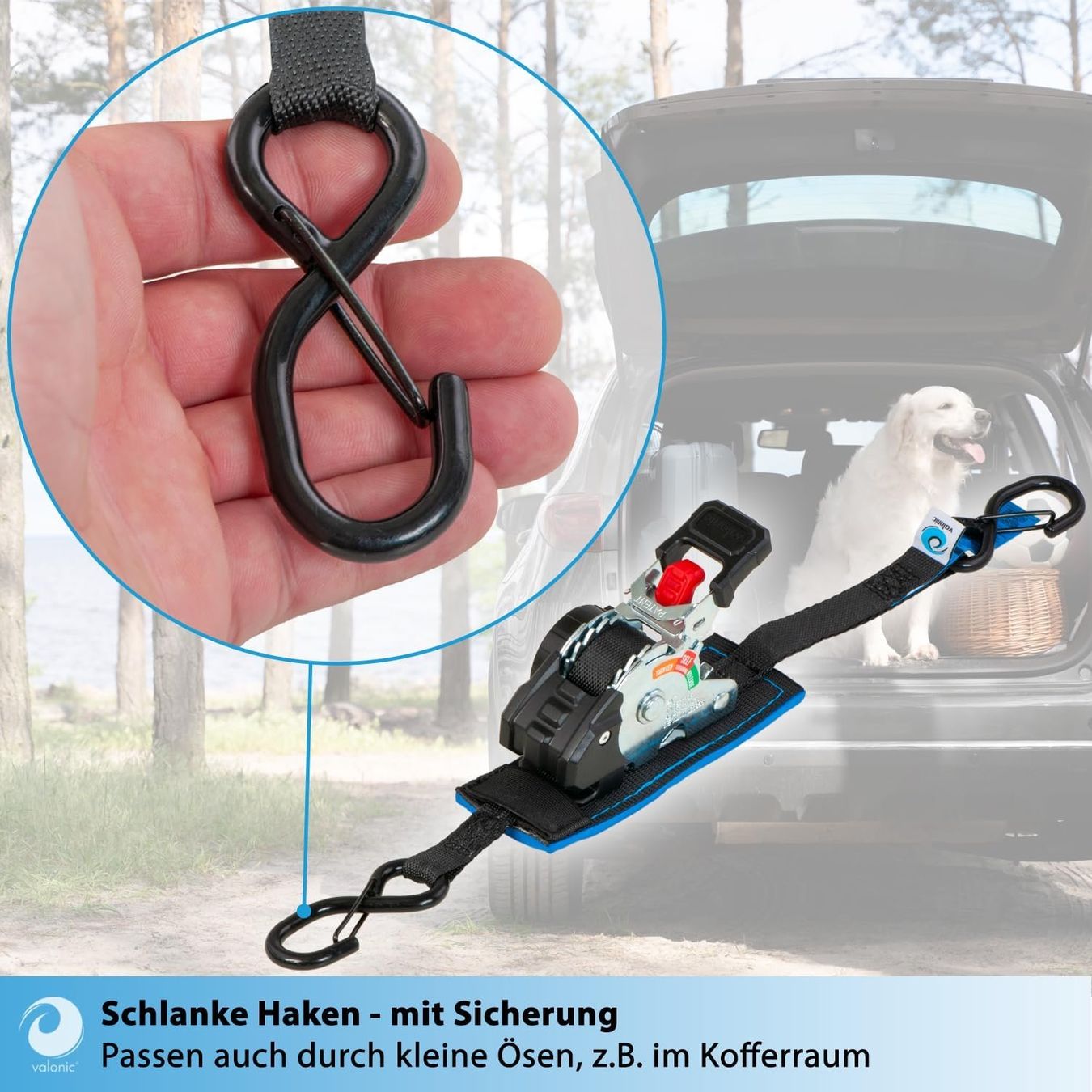 Tutti gli attrezzi: Spanngurte Automatik 2m 2er Set 150kg Mini – Nuovo e nell'imballaggio originale da Suhr venduto da TradeMasters 4