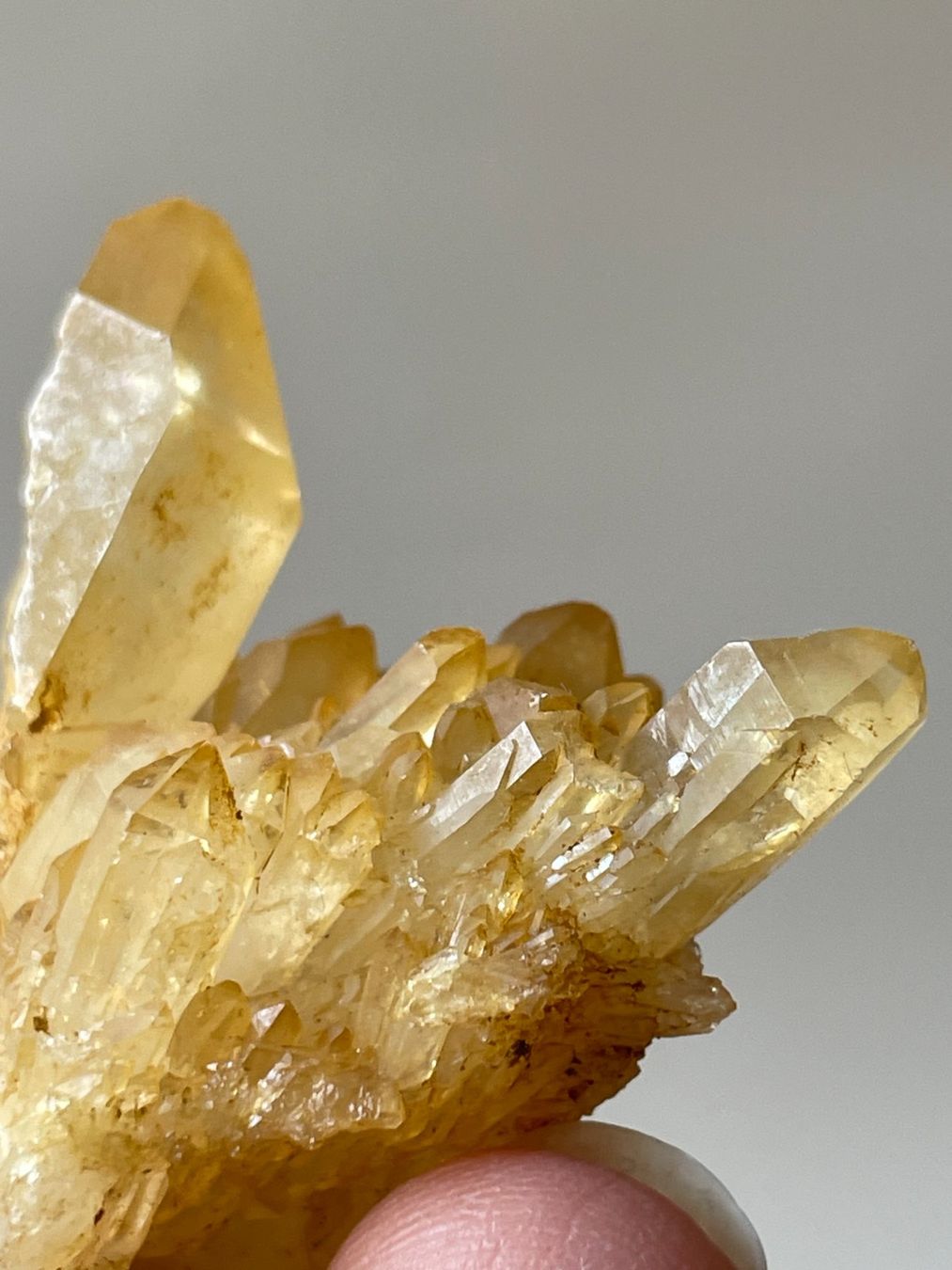 Minerali & Pietre curative: Tibet-Quarz | Citrin-Cluster – Nuovo (secondo la descrizione) da Schiers venduto da sisikristall 8