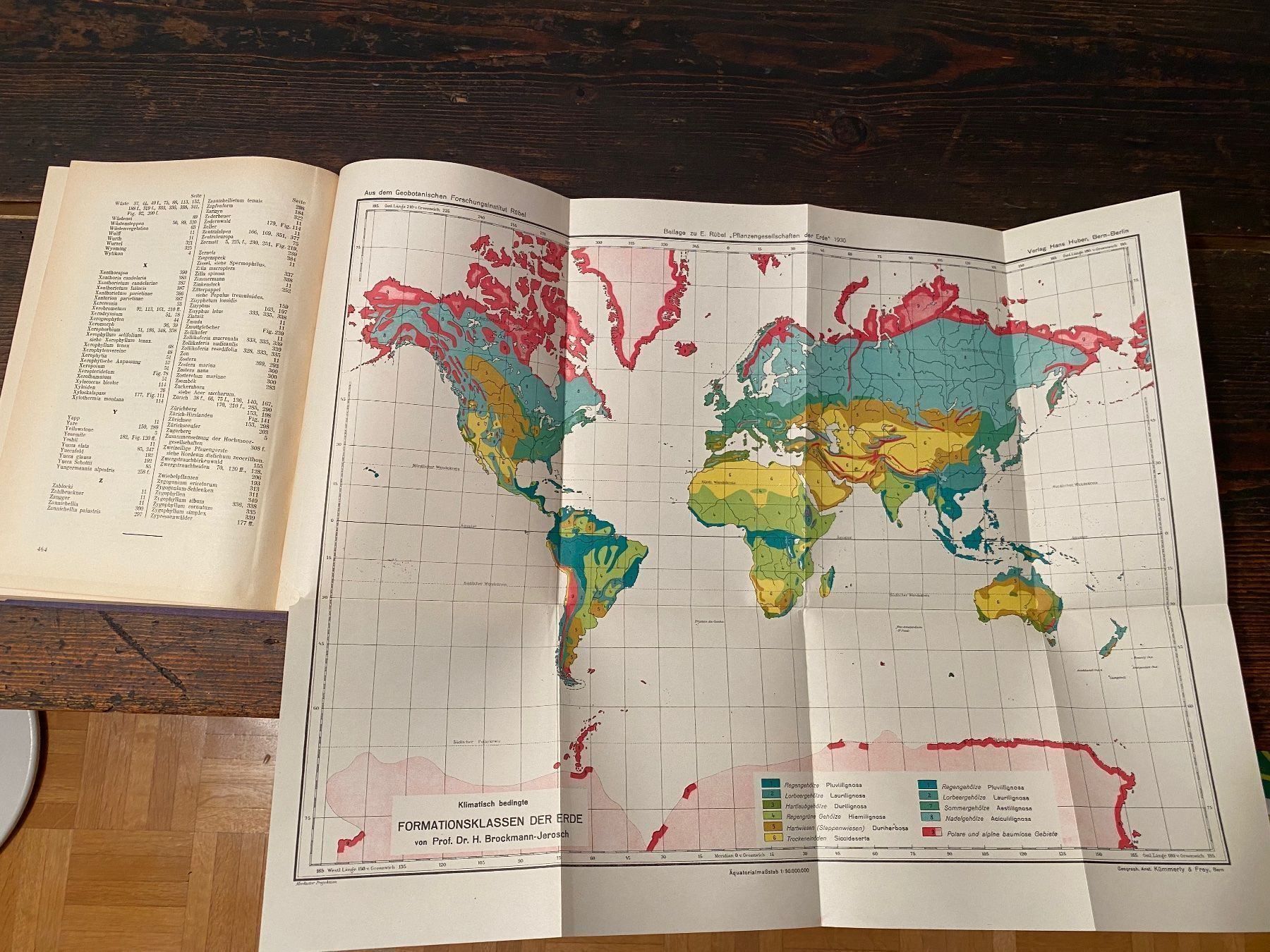 Libri: Pflanzengesellschaften der Erde (Buch) – Usato da Zürich venduto da 2013tg 6