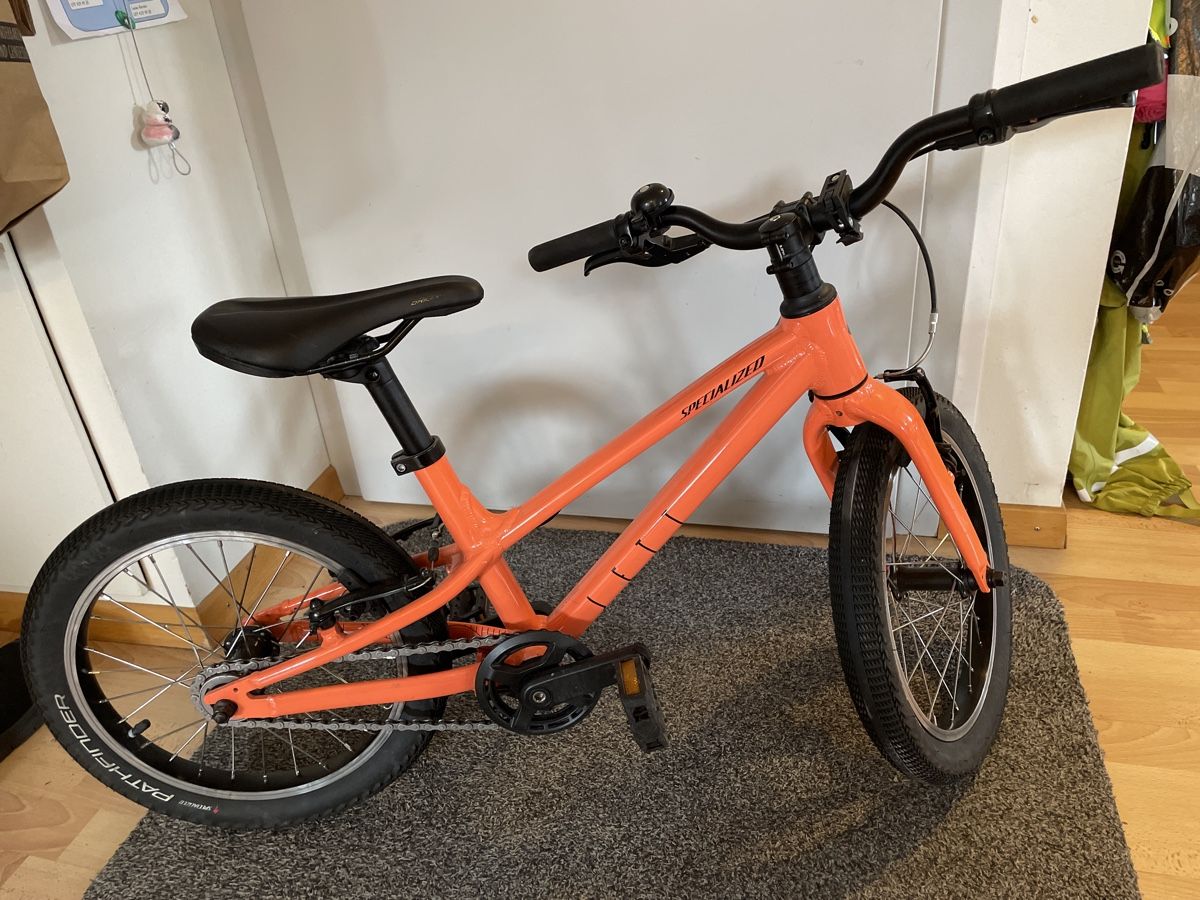 Specialized Biciclette: Kindervelo Jett 16" Specialized – Usato da Langnau i. E. venduto da Shakaliv 1