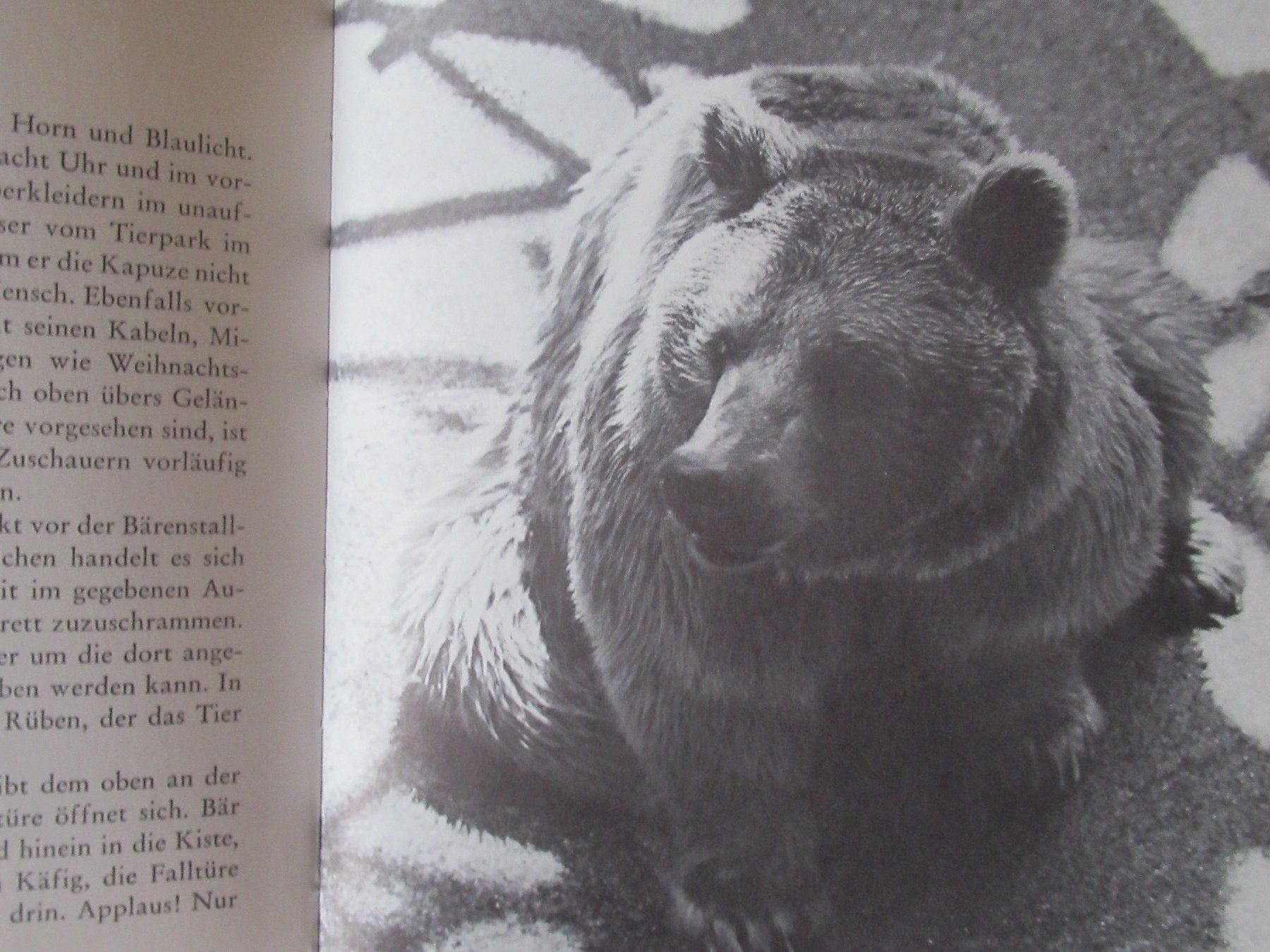 Libri: Das Bärengraben-Buch, Bern – Usato da Moosseedorf venduto da haro01 7