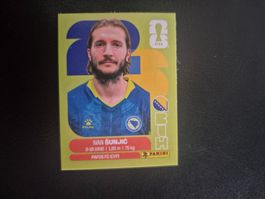 Panini WM 26 BIH 11