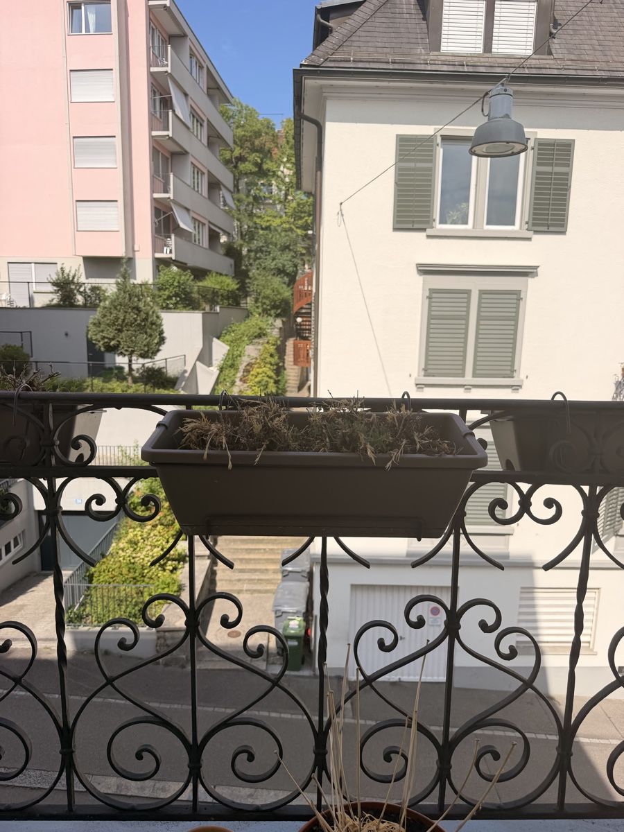 Vasi per fiori: Blumenkasten – Usato da Zürich venduto da wil_ysg8