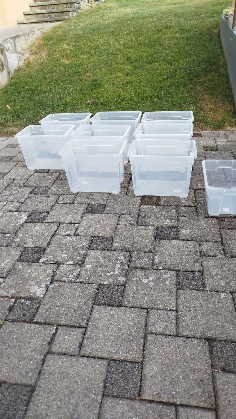 Recipients et similaires: 8 Plastikboxen, Kunststoff Boxen – D'occasion à Glashütten par lightmoon 2