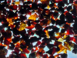 15gr Rohbernstein lot baltisch roh Bernstein natur rot