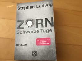 Stephan Ludwig: Zorn Schwarze Tage, 13. Fall f. Zorn u. Schr