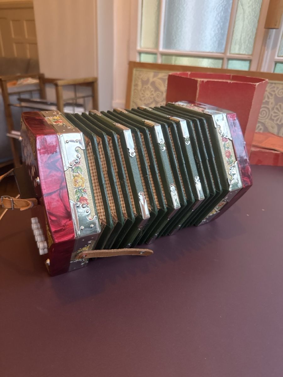 Strumenti musicali: Konzertina – Usato da bern venduto da Annecathe1